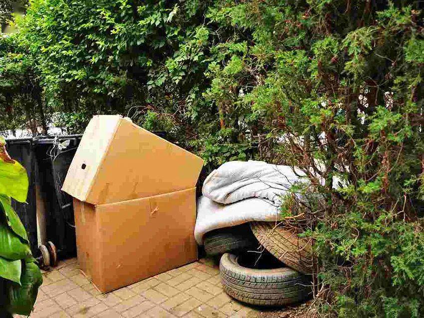 垃圾咋扔的北京垃圾分类落地半月多社区情况参差不齐