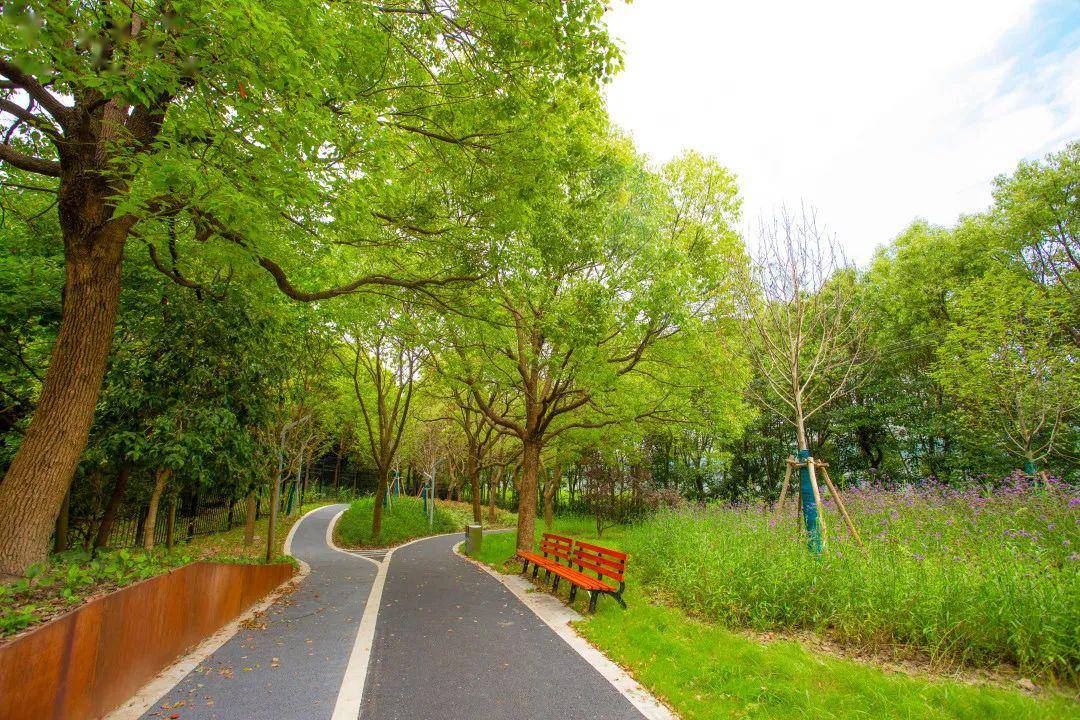 探访奉贤"田字绿廊",市民身边的城廓公园!