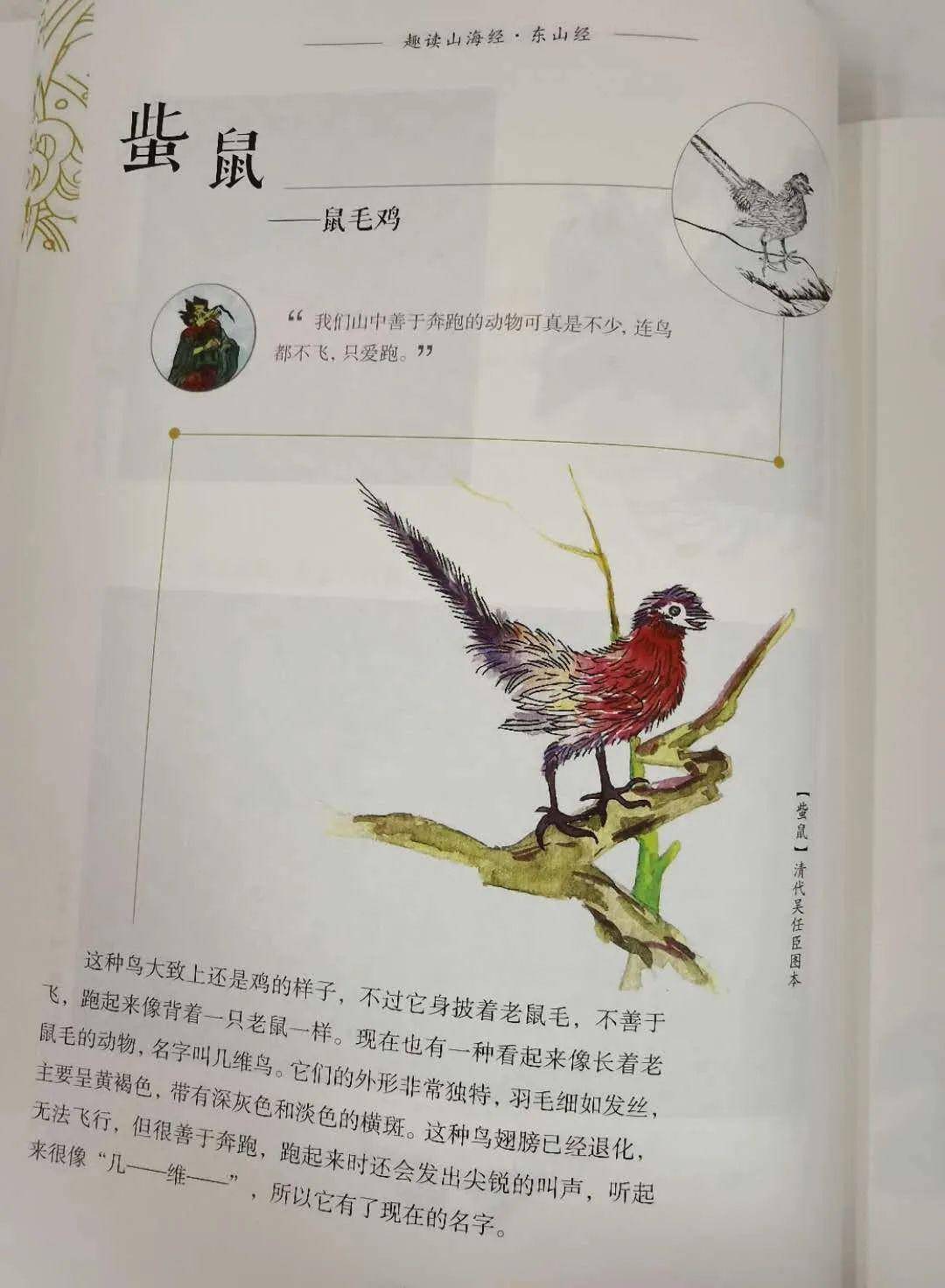 孩子也能轻松读懂的山海经让想象力突破天际