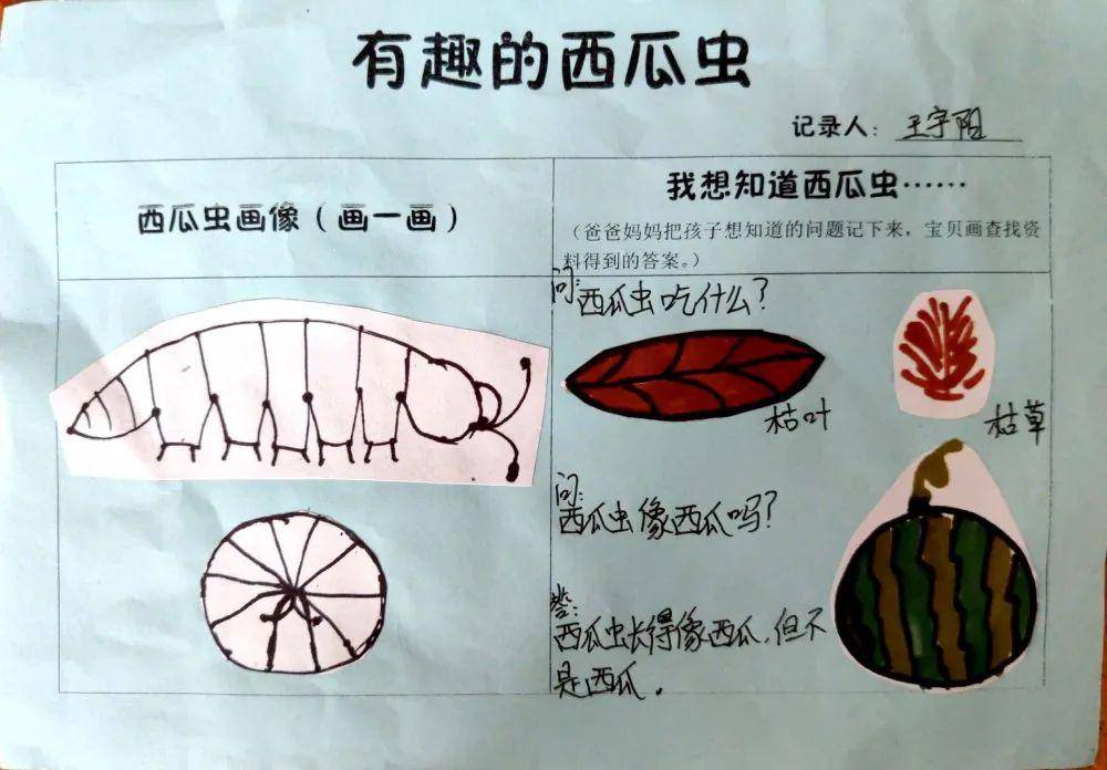【南通教育·学校】通州实幼:专题课程引领儿童发展_西瓜