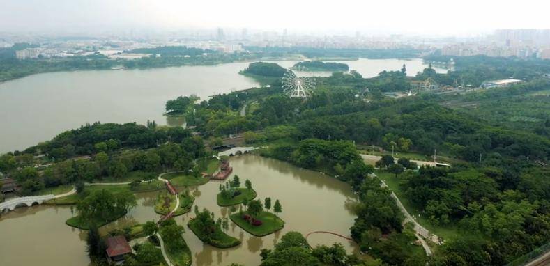 区域内,大围物流园,鑫捷物流园,八方国际物流园等