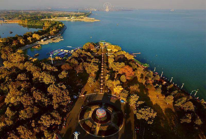 柳叶湖桥头堡,与区域一起向上生长_常德