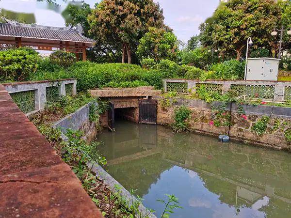 游乡村看振兴 | 跟随大富村书记,看张槎村居如何践行乡村振兴