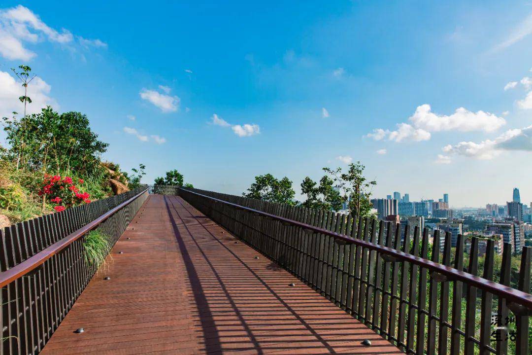 深圳新開『空中公園』,自帶網紅玻璃棧道,360°眺望城市風光!