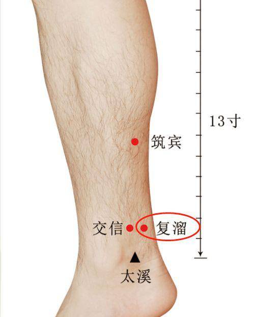 小腿,一身阴毒的大本营!