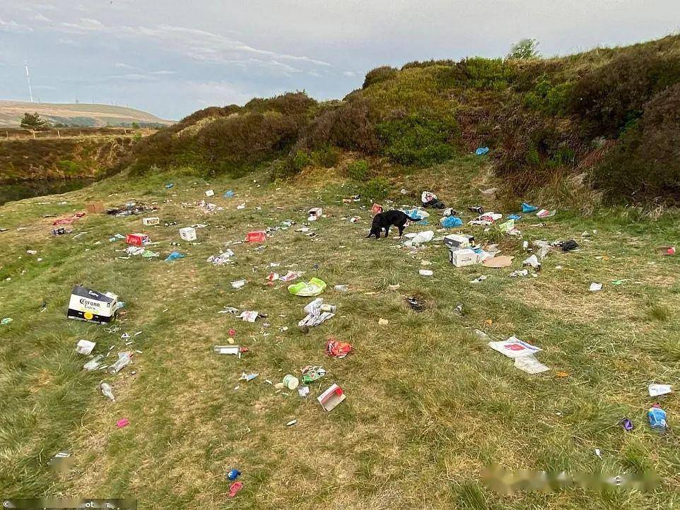 怒!被憋疯的英国人违反禁令野外烧烤,烧毁森林,垃圾遍地