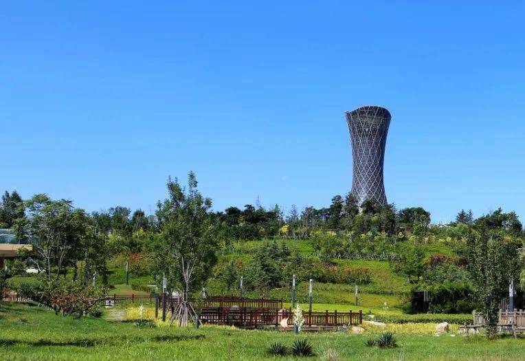 清新值up快來打卡煙臺網紅野餐勝地啦