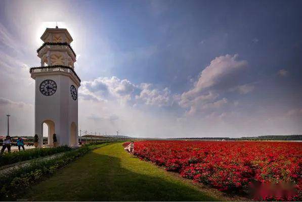 慢享宁周末蓝莓颗颗玫瑰朵朵花果成熟季来枫彩漫城度假吧