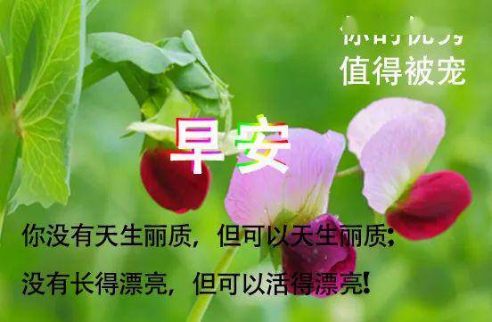 特别漂亮的早上好图片表情问候语