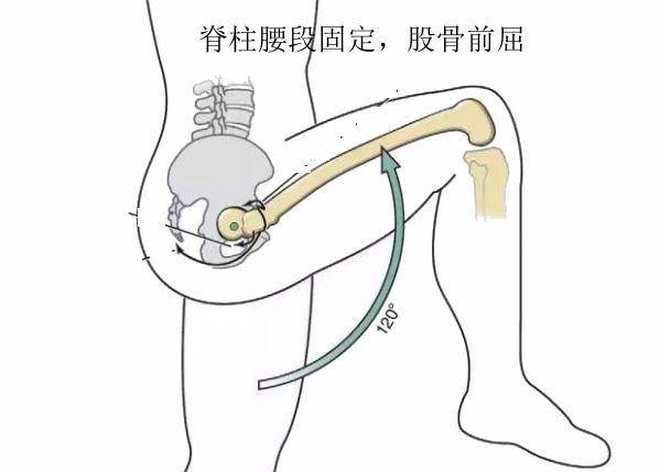 腰部痠痛一定是腰出了問題?那可不一定,腰大肌正在旁邊偷笑呢