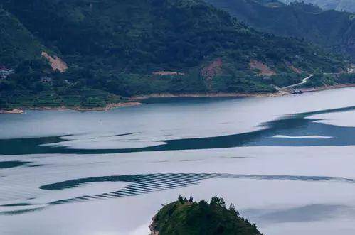 愿在丽水的这里当朵花,徜徉在她的怀抱里._水库