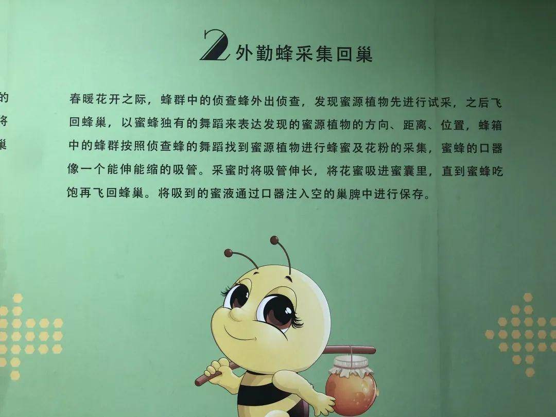 上海市唯一一家蜜蜂科普博物馆就在奉贤柘林,一起来了解下→