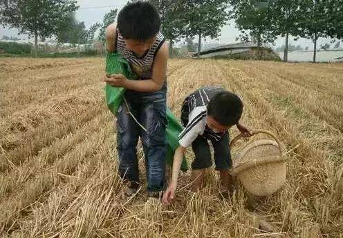 平凉副市长黄继宗贪污内幕.具体详情请关注【大美庄浪】回复【市长】