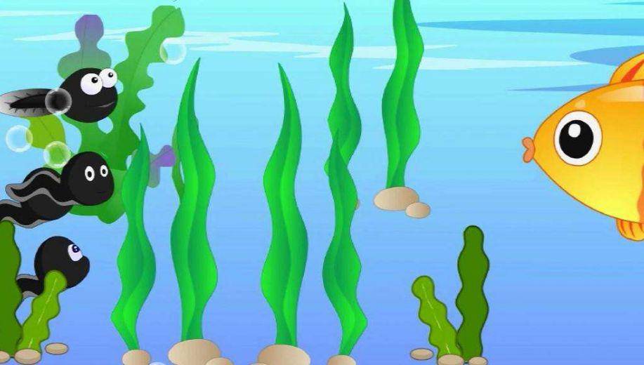 睡前故事小蝌蚪找妈妈