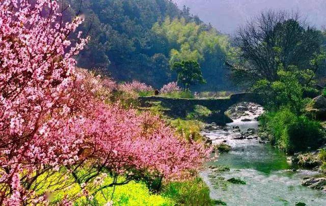 家乡观口垅我心中每一天的桃花源