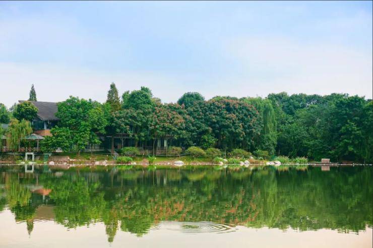 皂河景观湿地公园实景图