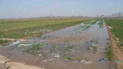 引淡淋盐 写在最后:本题以大棚内农业发展产生盐渍化为背景,引导考生