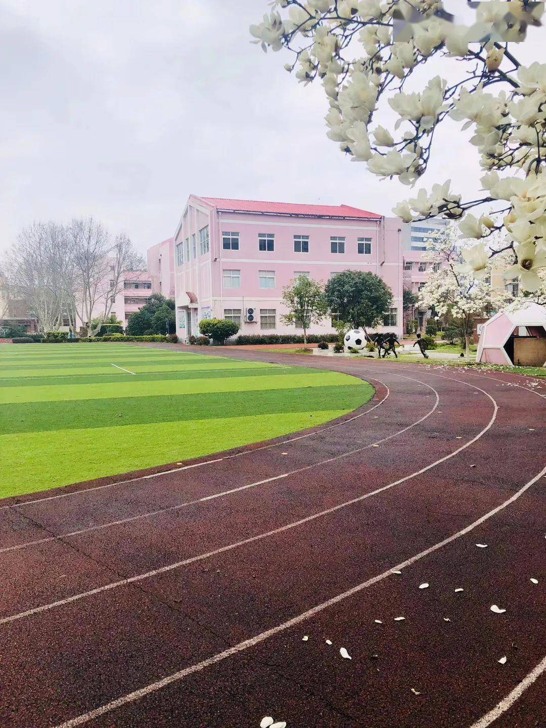 聚焦雨花一校四址这所南京南大门的75岁小学太优秀