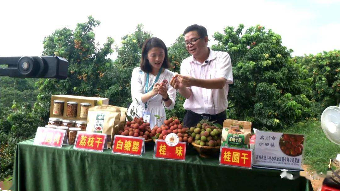 沙田镇党委书记直播带货,为沙田优质荔枝龙眼"代言"