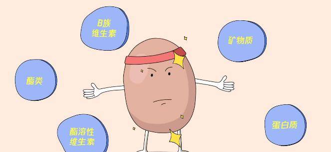 科普丨优质蛋白是个宝提高免疫少不了