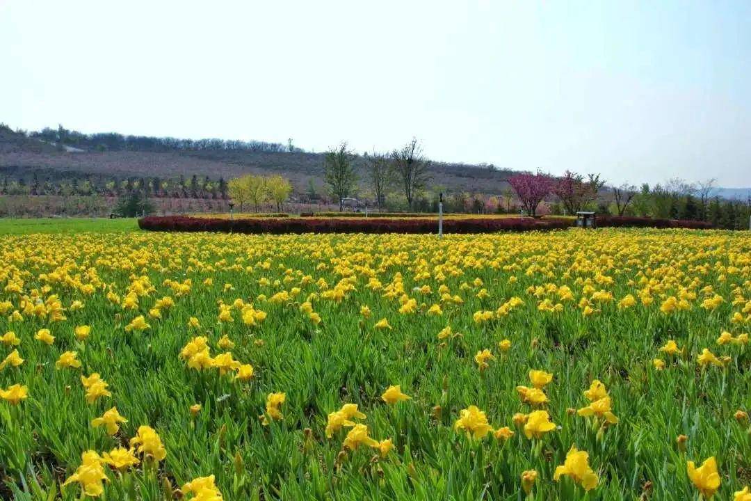 19.9元抢东沟花海 东沟五坊景区套票!