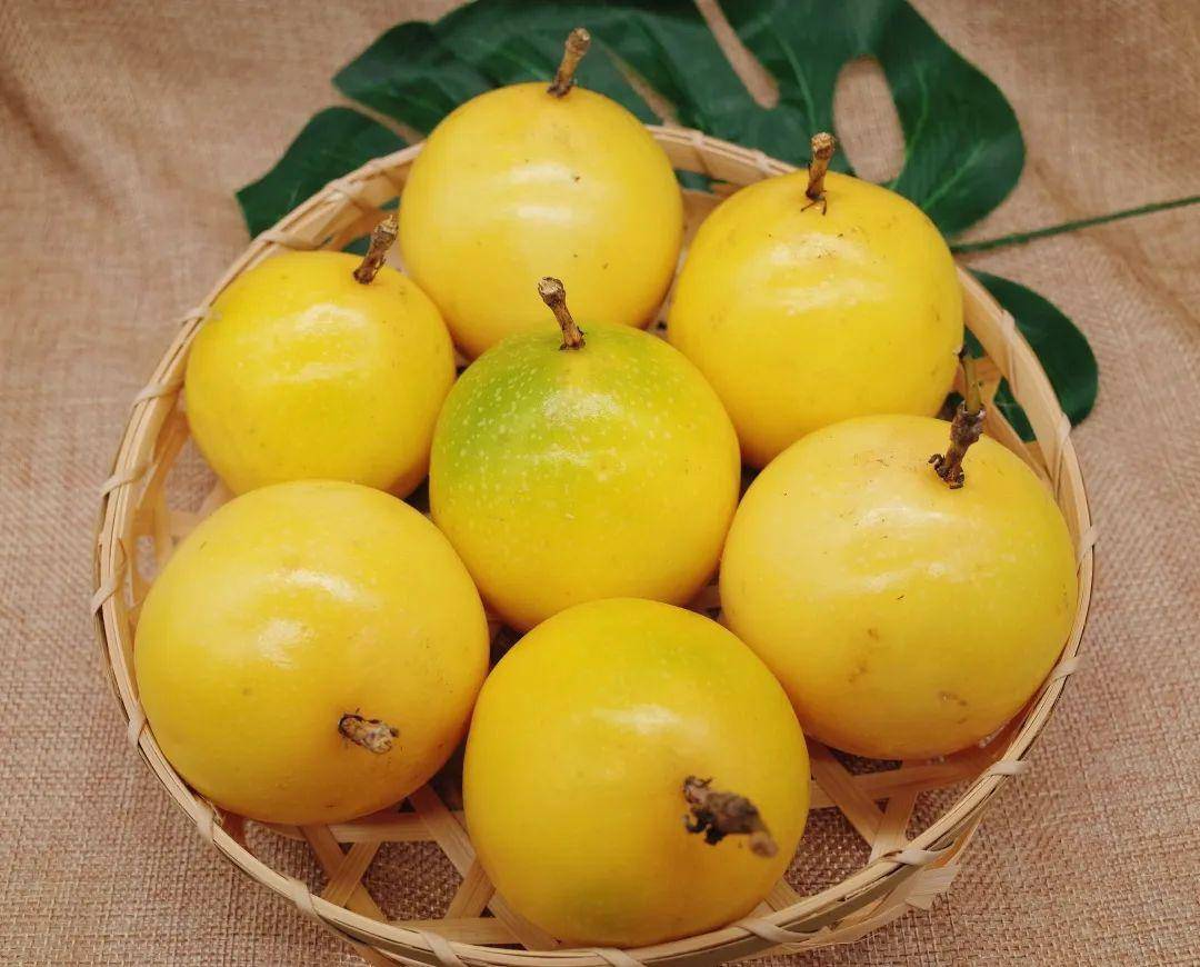 罕见!黄金色百香果竟然17°爆甜!口口爆浆,每天一个皮肤白到反光~_果