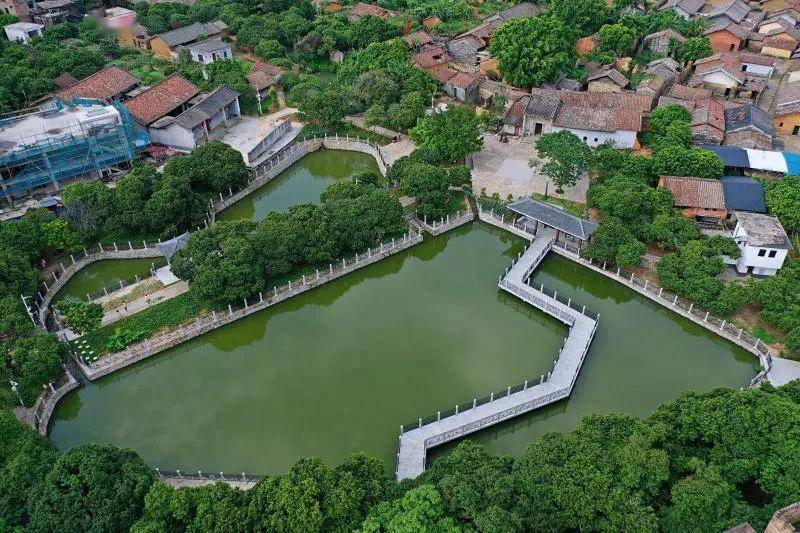 西向镇华门前的鱼塘清澈如镜,池中新修建了一条观光栈道.