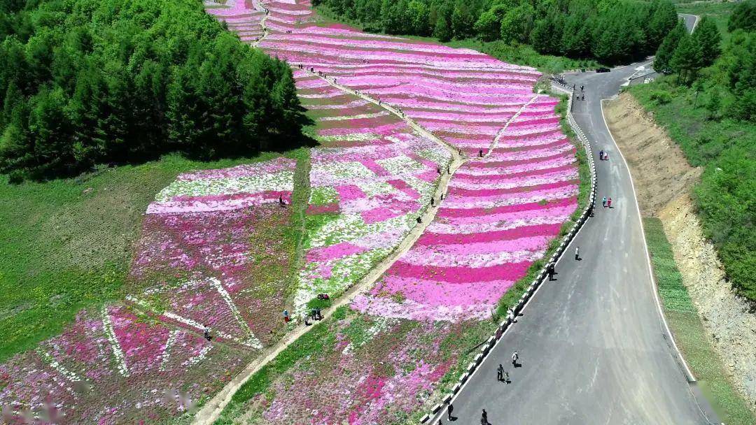 浑江区彩虹花海~!如约而至