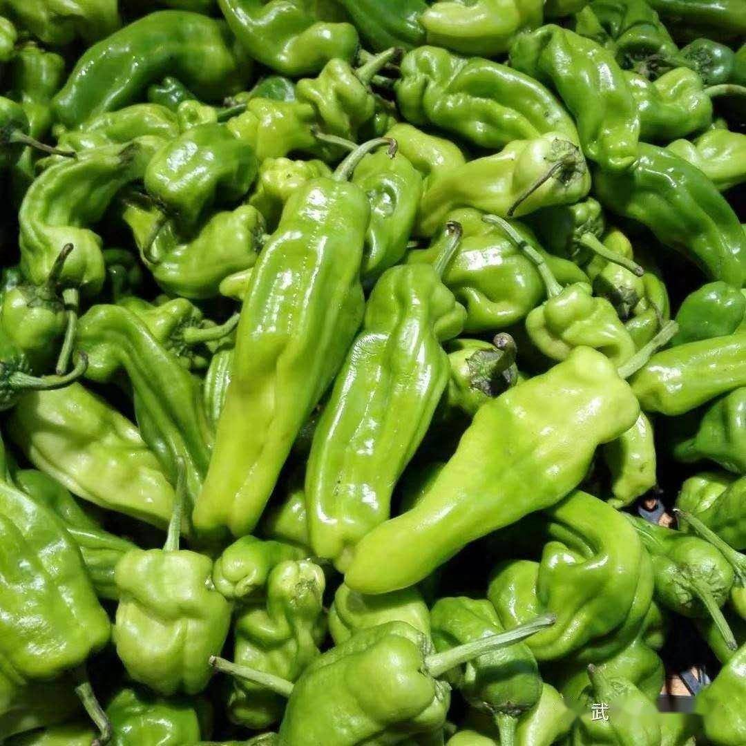 88元1斤青杭椒抢购价2.99元1斤白萝卜抢购价0.88元1斤胡萝卜抢购价1.