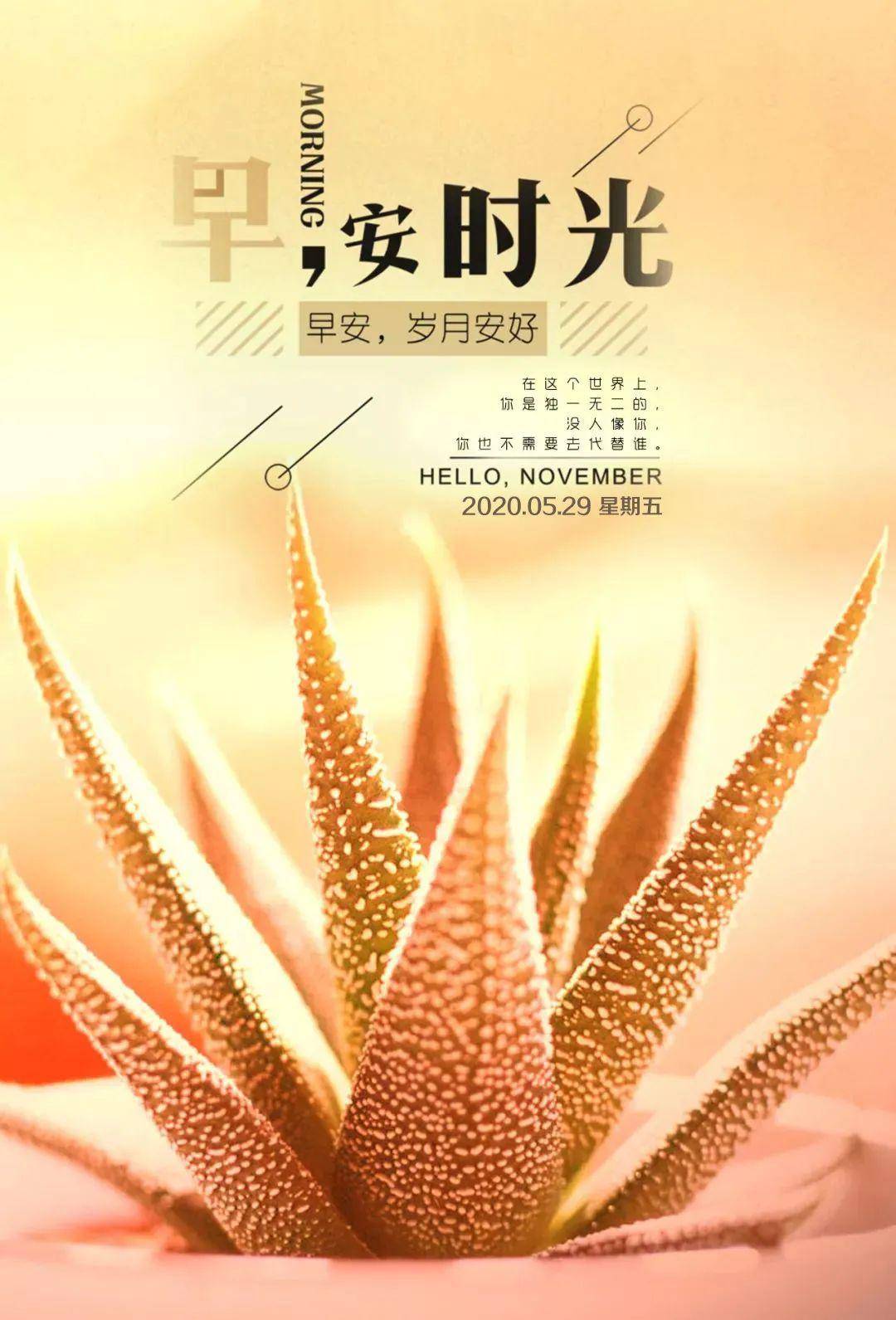 5月29日早安心语正能量唯美说说漂亮早上好带字正能量图片