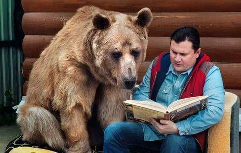 他将灰熊当宠物,不顾反对照顾熊群13年,最后却被熊给活啃了
