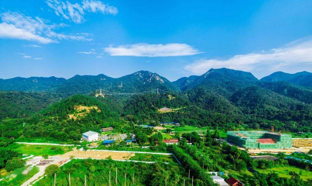 静静大南山 悠悠长寿梯