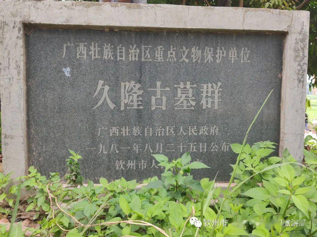 钦州市历史文化田野调研纪实探寻钦州历史遗迹增亮钦州文化底色