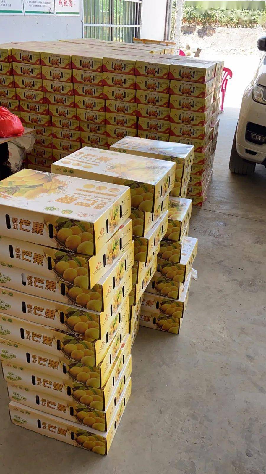 这芒果美得像艺术品,让人忍不住多看两眼,送礼佳品!