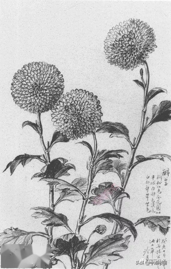 二十世纪初,陶冷月随罗树敏习素描,写生及水彩,这之后,陶冷月一直勤力