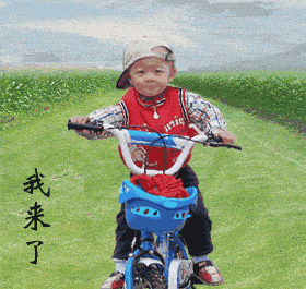 280_265gif 动态图 动图