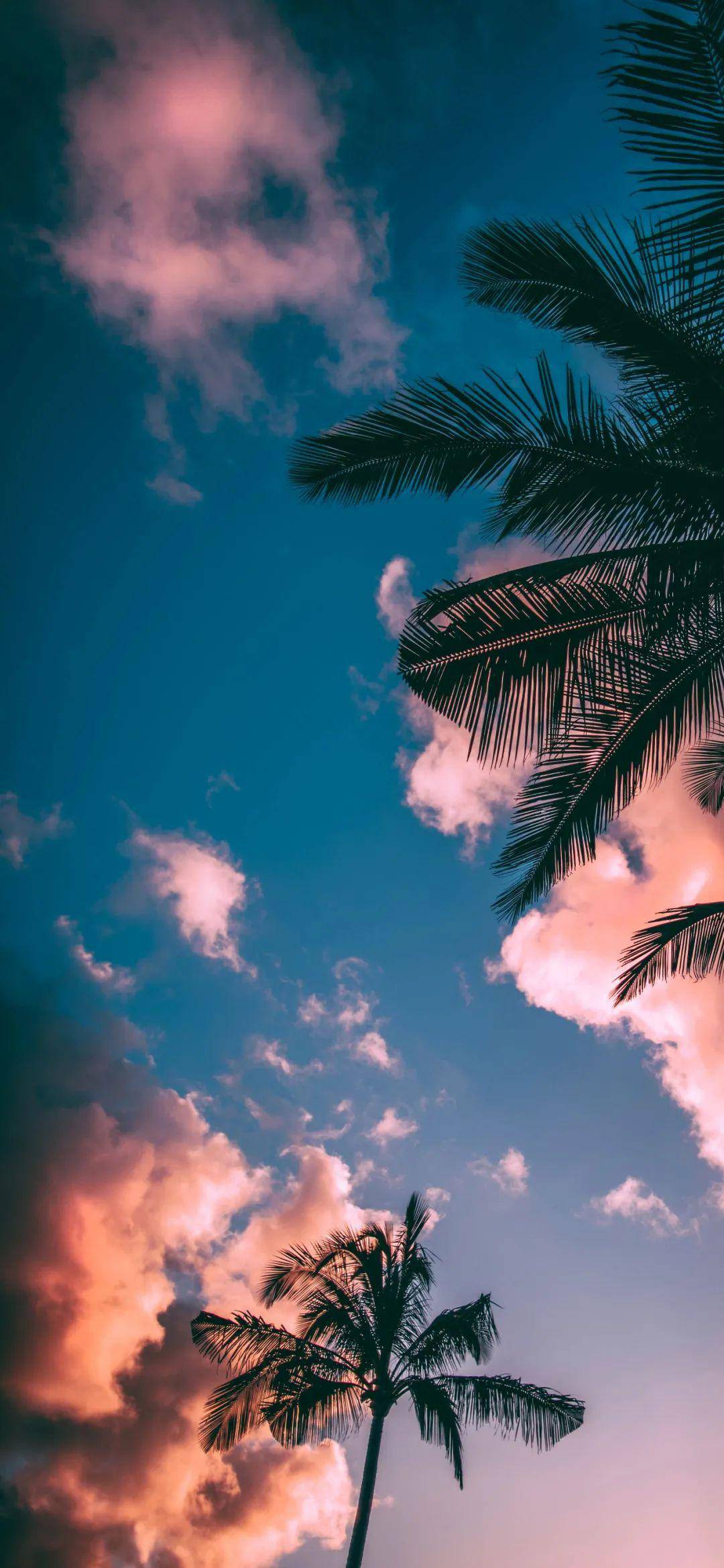 手机壁纸高清适合夏天用的唯美壁纸