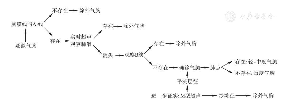 气胸超声诊断流程图   10,11]