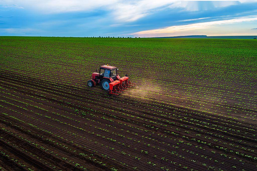 这些土地流转行为都违法!农民朋友要会识别