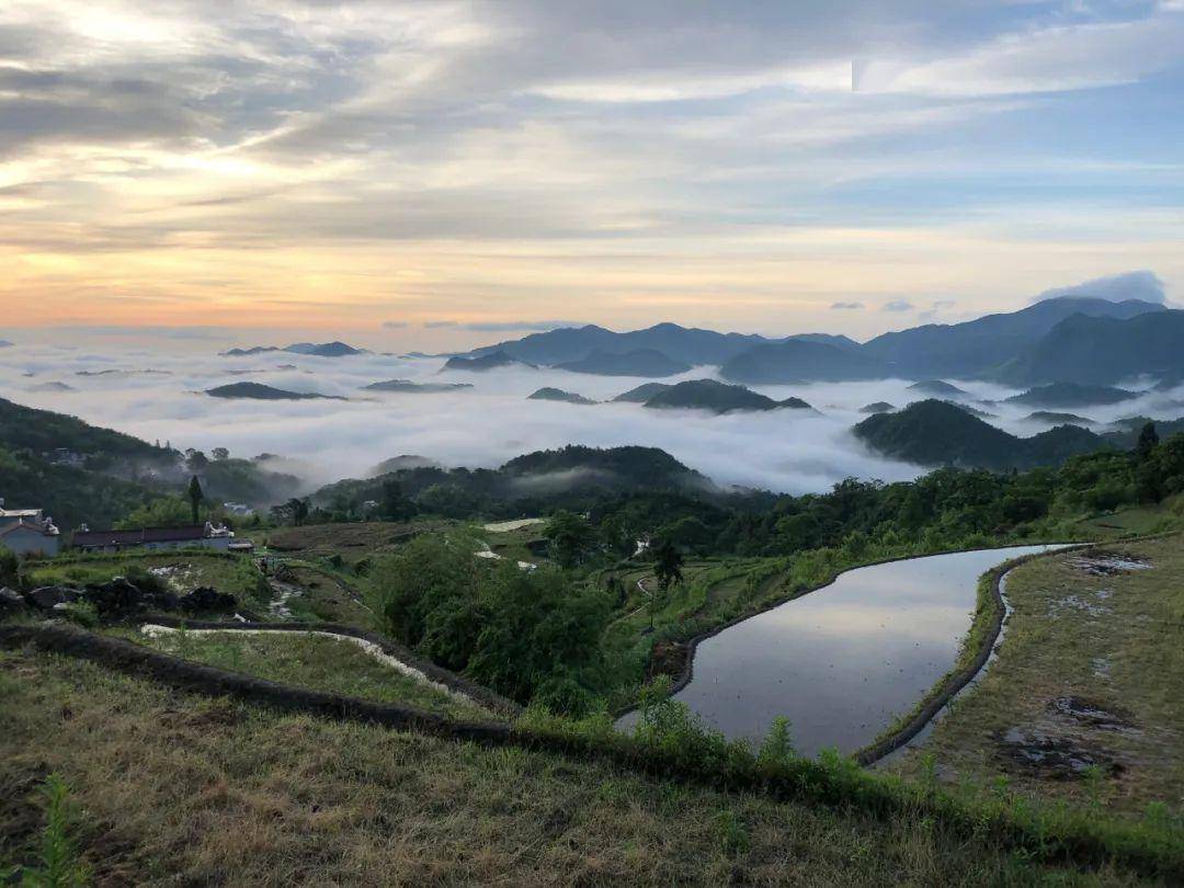 天台县泳溪乡北田村梯田上,又是摄影师如梭,这里的梯田已经开犁,镜面