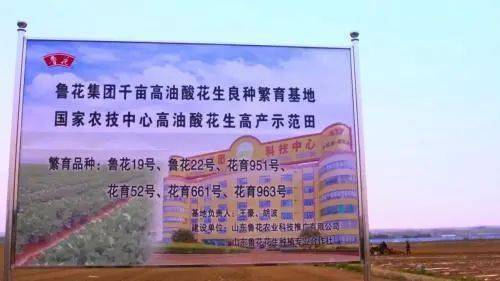 魯花深得創新三昧的佼佼者 隆平联社