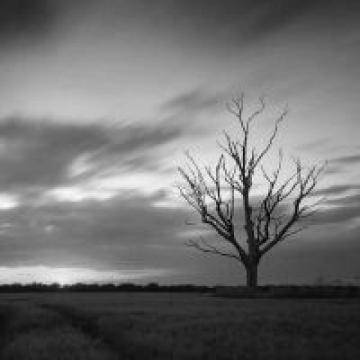 360新品入网 又是一款千元全面屏?