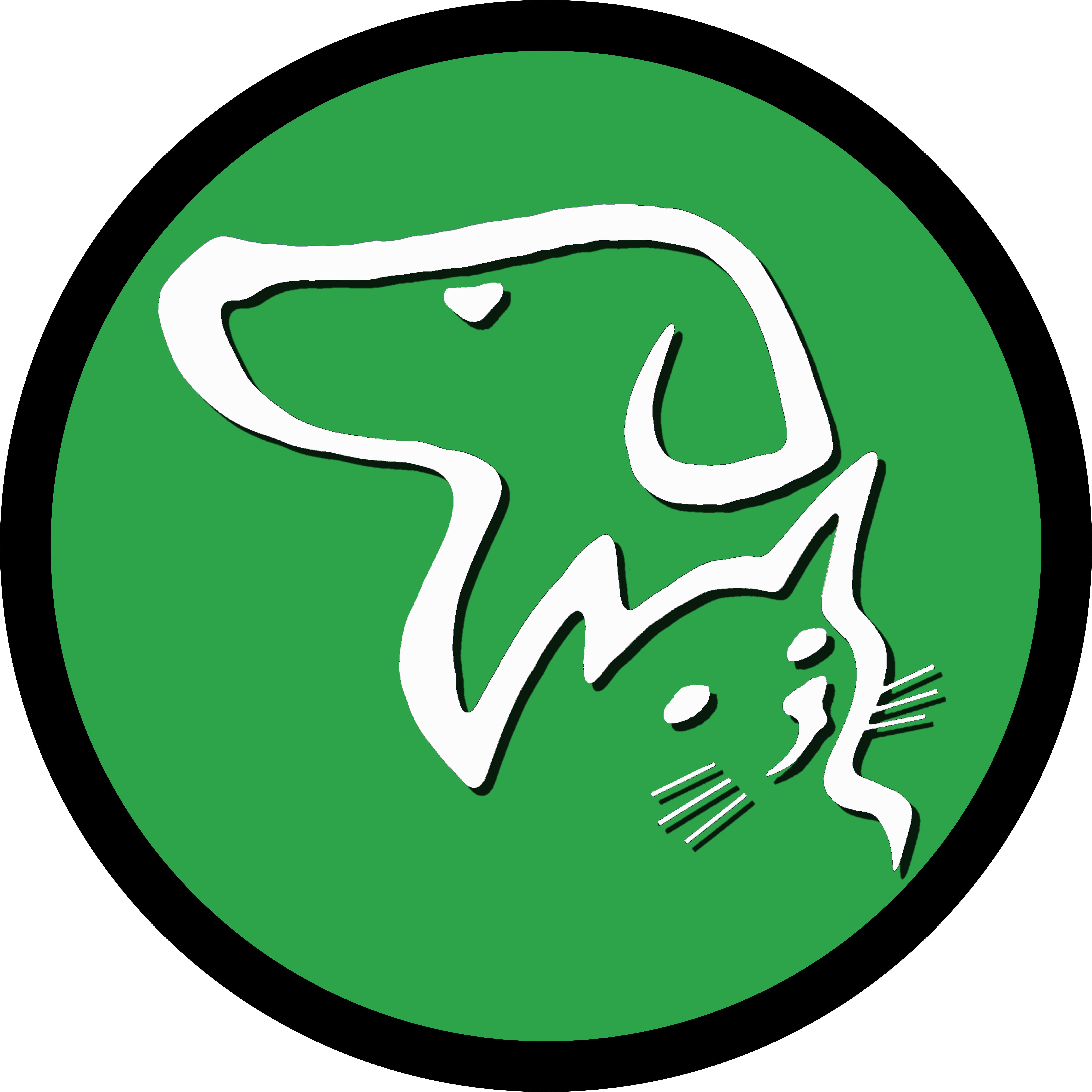 猫咪需要定期驱虫吗