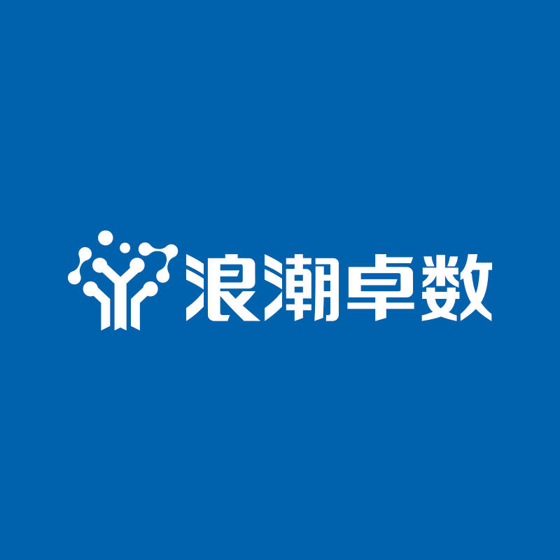莆田鞋一年卖13亿双?浪潮商务万象带你用大数据打破偏见_企业