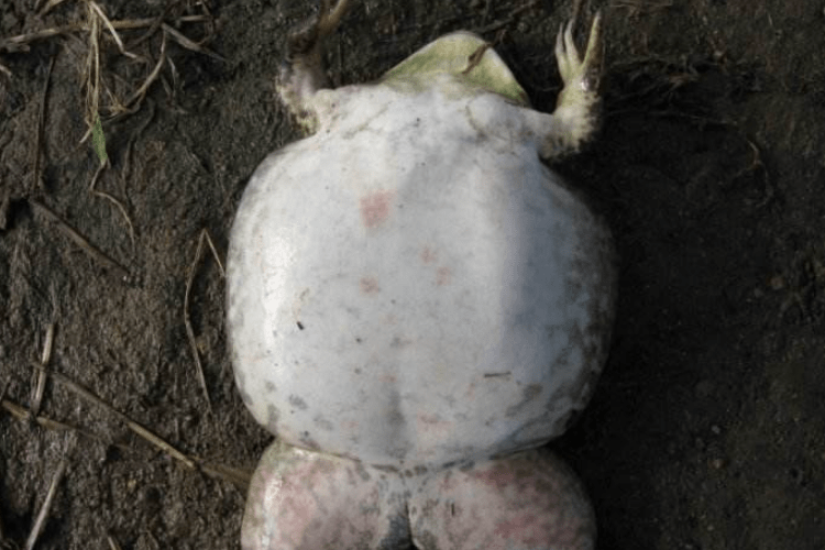 Q4vzoiuajyldbm Q4vzoiuajyldbm