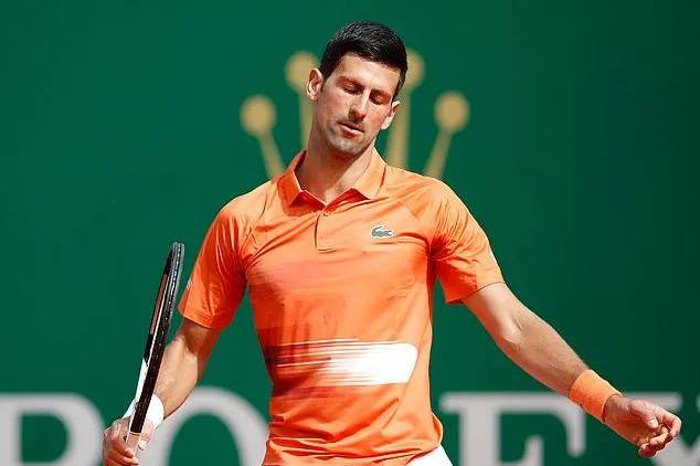 刘星宇tennis的个人展示页