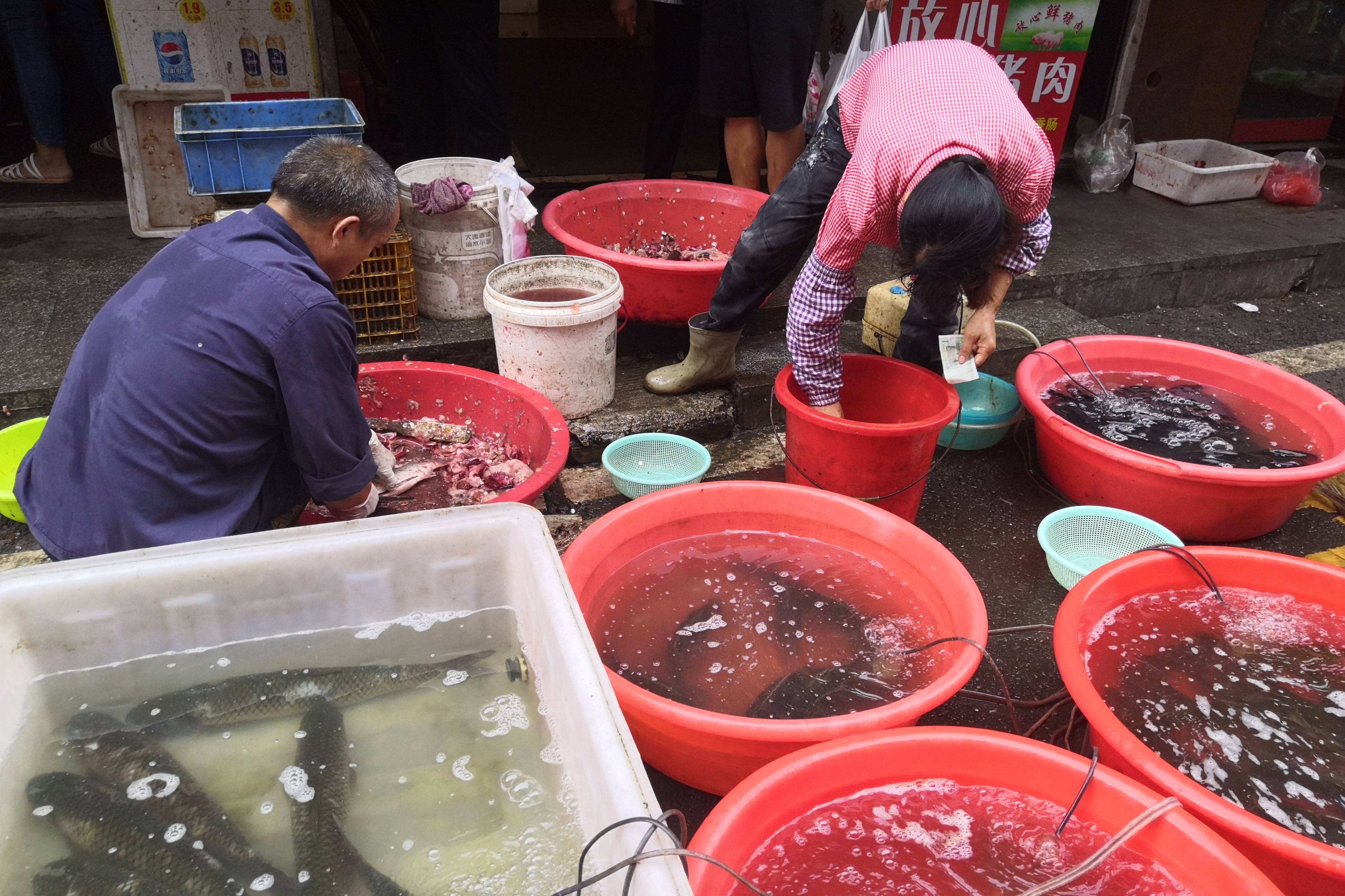 探访岳阳的菜市场 卖鱼的师傅杀鱼好麻利