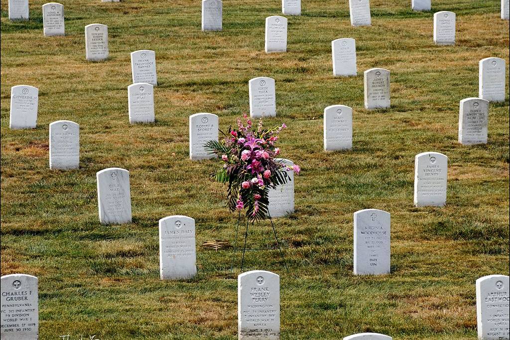 军人栖息的荣耀：由美国陆军部直接管辖的阿灵顿国家公墓_手机搜狐网