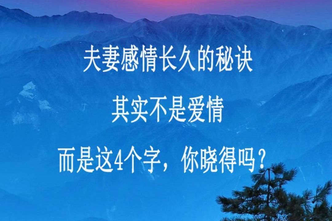 夫妻感情长久的秘诀其实不是爱情而是这4个字你晓得吗