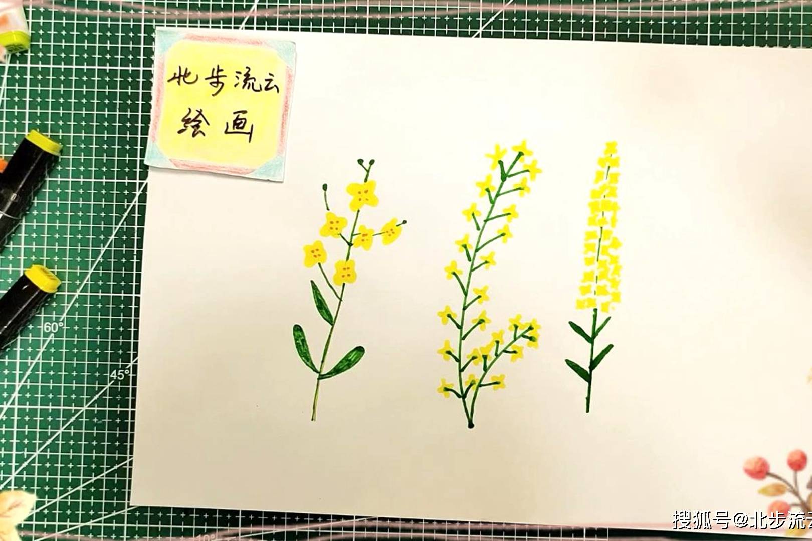 油菜花简笔画适合孩子学习画画